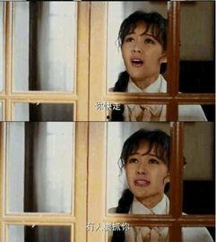 国产对白视频,本土文化的魅力与共鸣  第2张